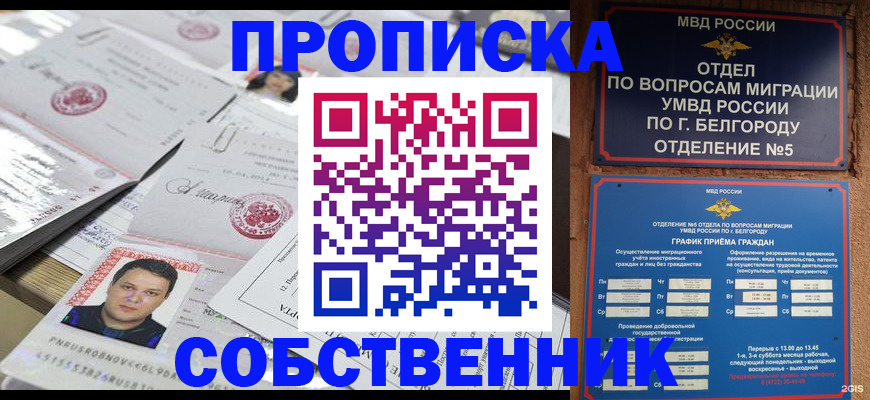 прописка иностранных граждан в Шали