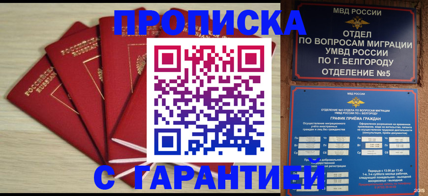 миграционный учет в Шали